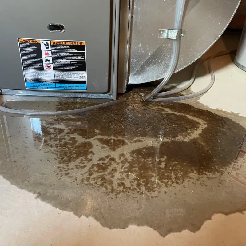 Appliance Leak Cleanup in Mead, WA