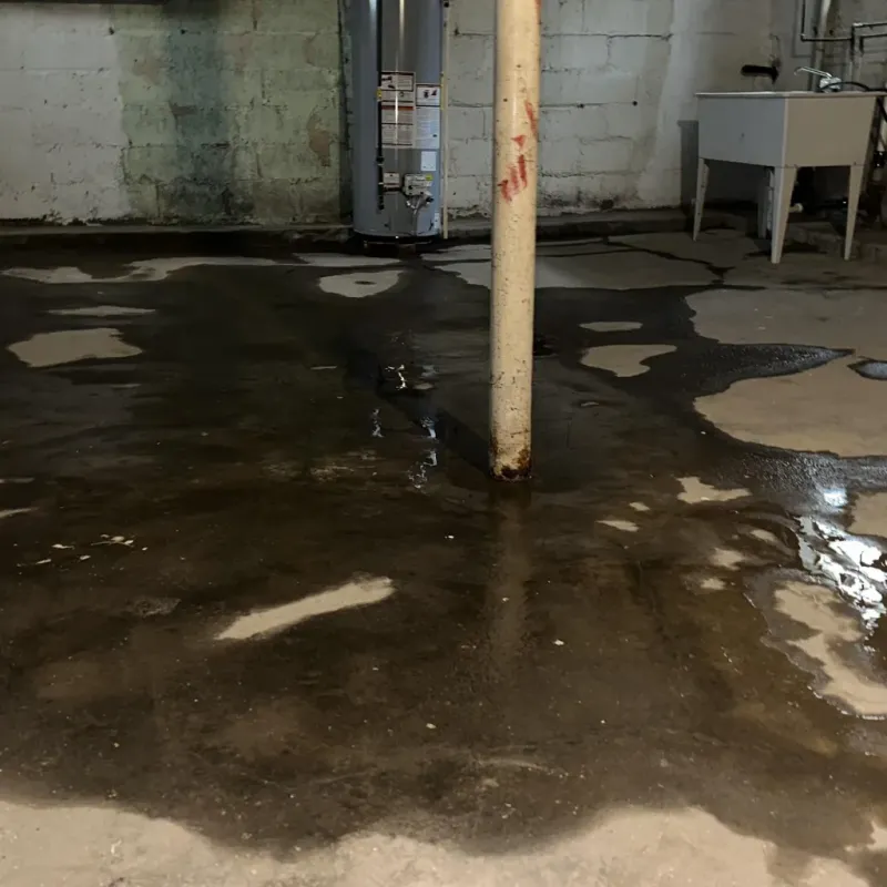 Emergency Water Extraction And Removal in Mead, WA